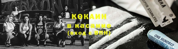 прущая мука Гусев