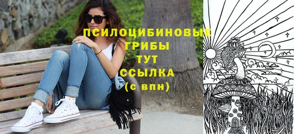 ПСИЛОЦИБИНОВЫЕ ГРИБЫ Гусь-Хрустальный