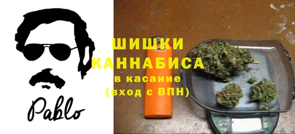 мяу мяу мука Гусиноозёрск