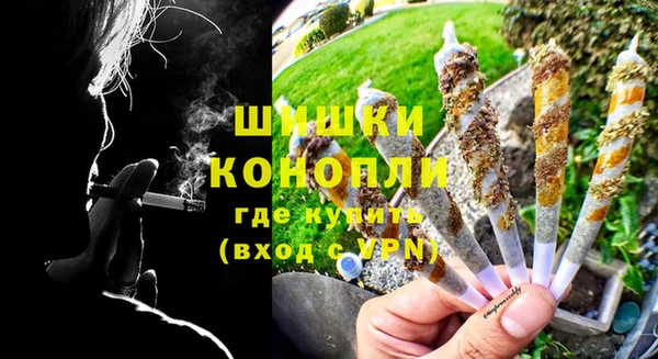 ПСИЛОЦИБИНОВЫЕ ГРИБЫ Гусь-Хрустальный