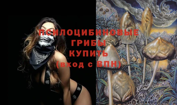 мяу мяу мука Гусиноозёрск
