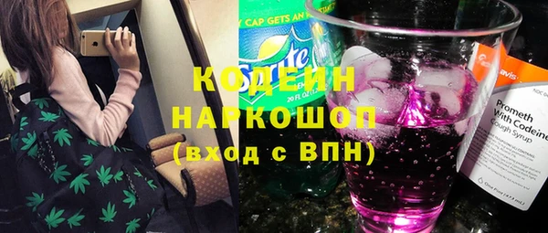 ПСИЛОЦИБИНОВЫЕ ГРИБЫ Гусь-Хрустальный