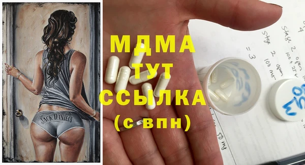 ПСИЛОЦИБИНОВЫЕ ГРИБЫ Гусь-Хрустальный