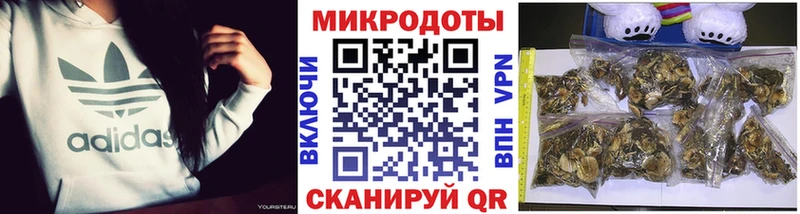 Галлюциногенные грибы GOLDEN TEACHER  где можно купить наркотик  Чегем 